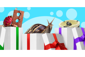 Najdziwniejsze prezenty, jakie dostają nauczyciele… i co naprawdę chcieliby dostać