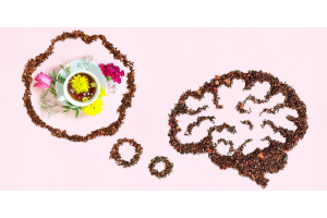 Co filiżanka herbaty robi z Twoim mózgiem Fakty, które zaskoczą nawet sceptycznych