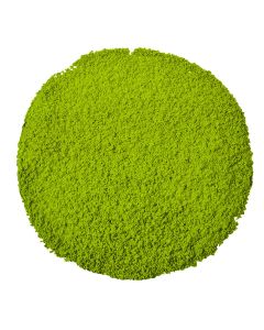 Matcha TO GO. Jedna porcja matchy do torebki