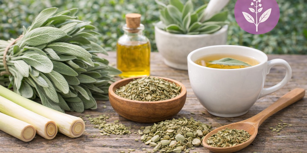 Szałwia: odkryj jej zdrowotne i kulinarne tajemnice