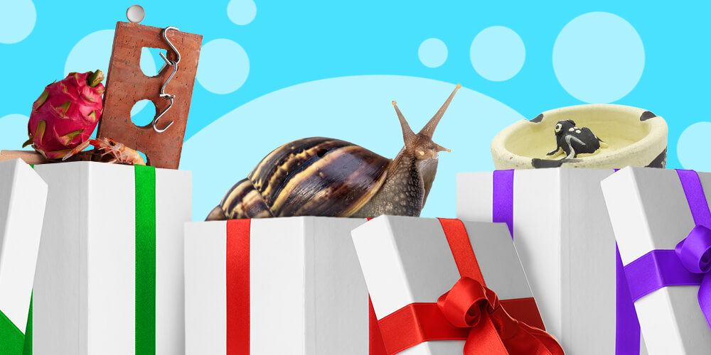 Najdziwniejsze prezenty, jakie dostają nauczyciele… i co naprawdę chcieliby dostać